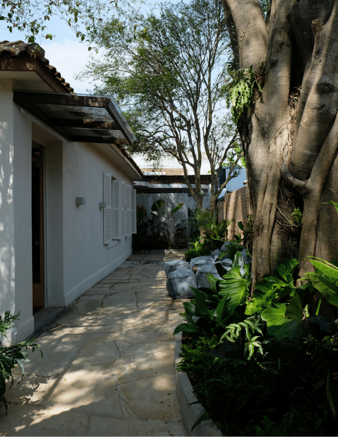 Jardim e ambiente externo da Clínica TAZ